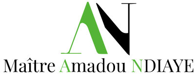 logo ndiaye top